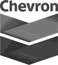shuncheng-Client-3-chevron